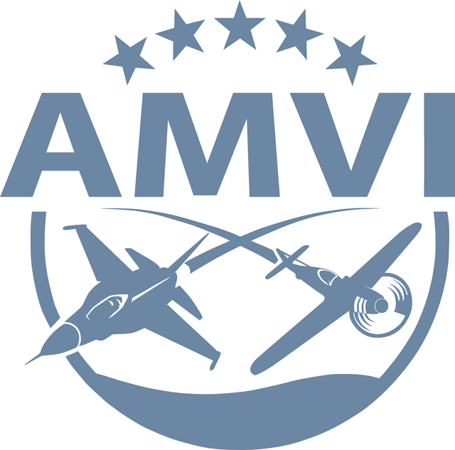 AMVI - Gruppo IL-2 - Promo