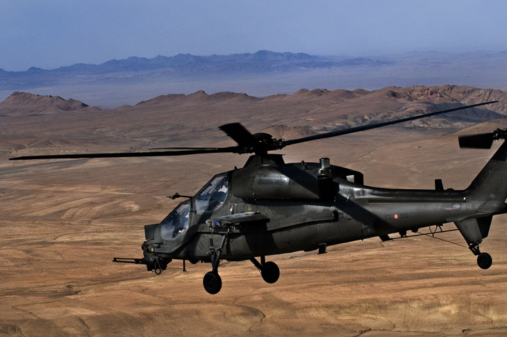 mangusta 