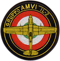  GRUPPO AMVI Il2-Sturmovik 1946